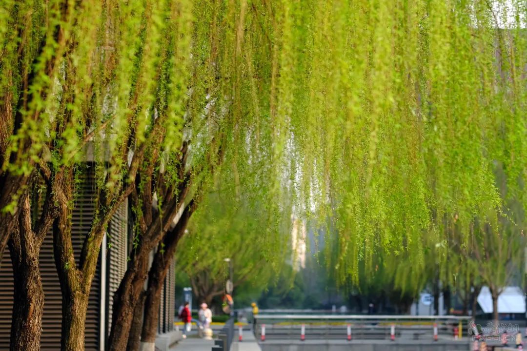 海南大学在台风中“痛失校名”